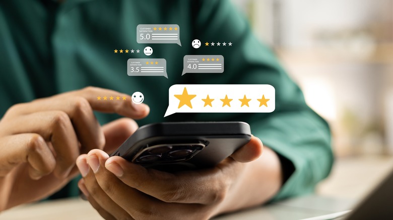 Traveller Reviews and Trust