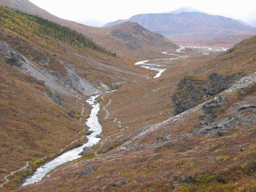 Savage River Loop trails in alaska