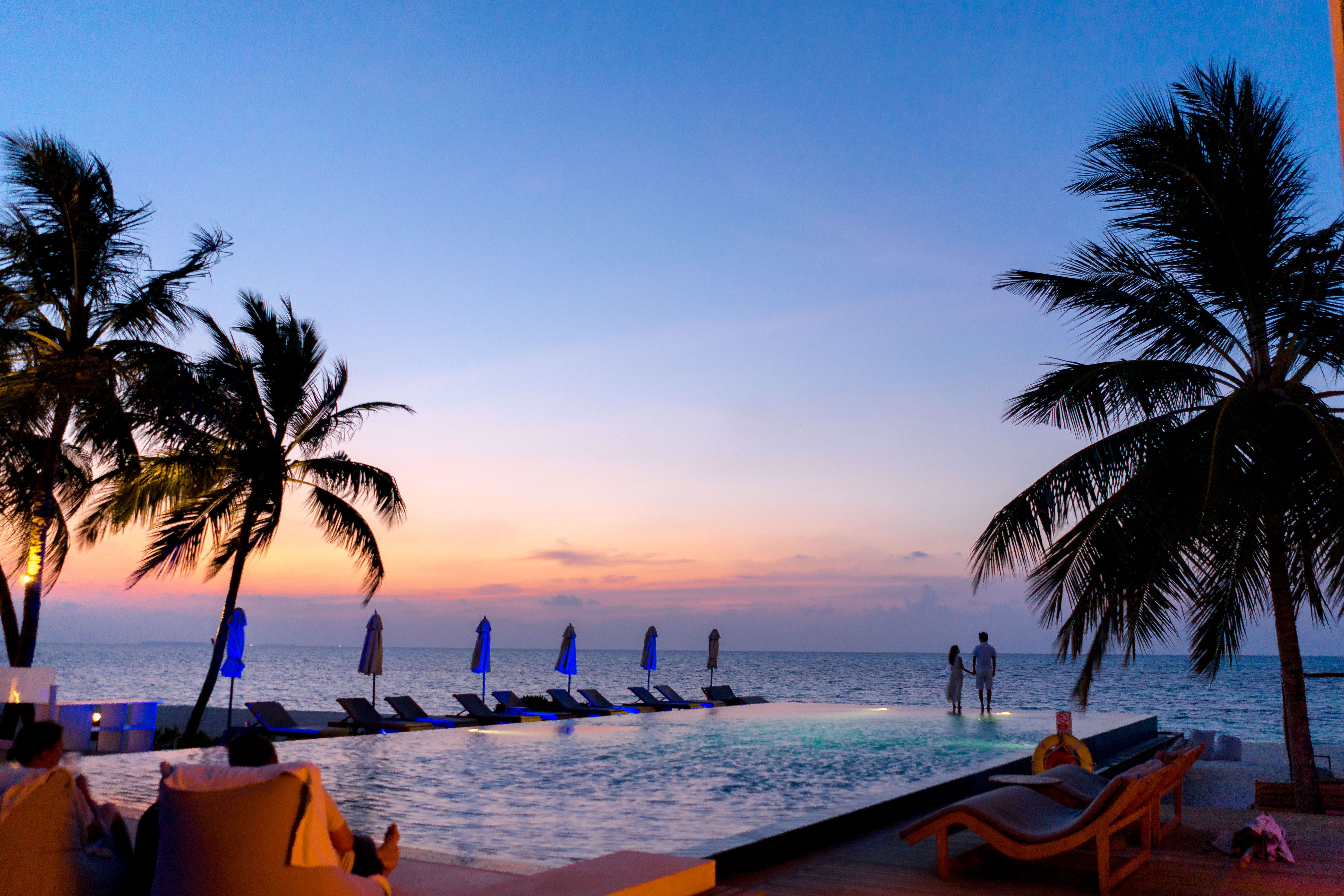 A couple enjoys a picturesque sunset by a seaside infinity pool surrounded by palm trees
